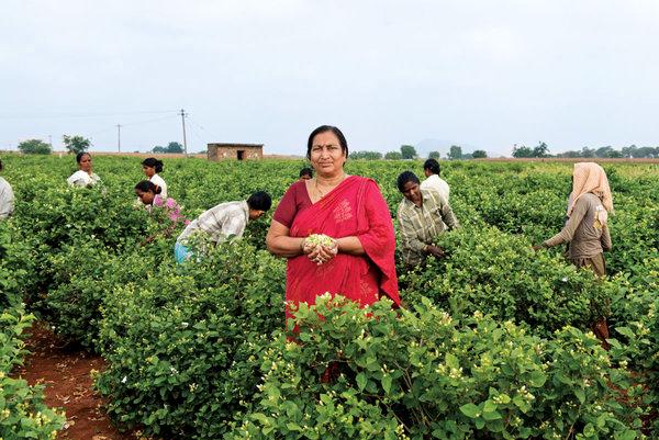 Поставщик жасмина Б. Жайама, чью территорию грозит выкупить правительство